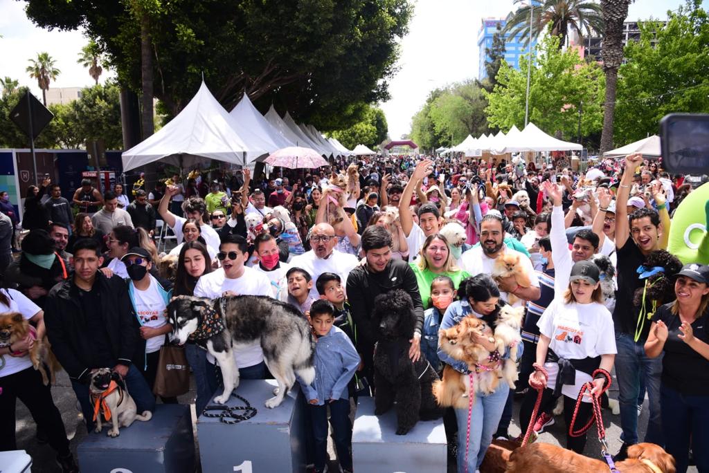 ? ? Realizan feria de las mascotas en Tijuana y estos lomitos se dieron  una vuelta | Aldea 84